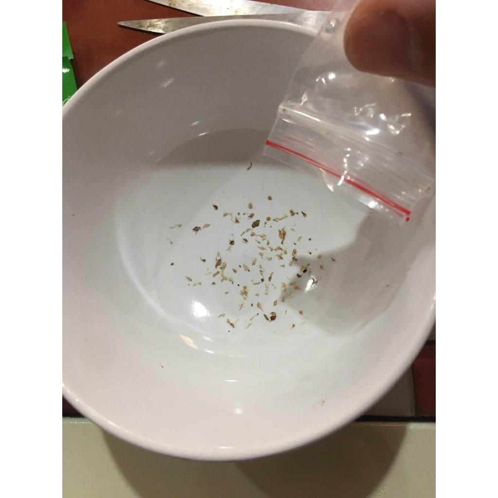 10 hạt Sung Mỹ siêu ngọt