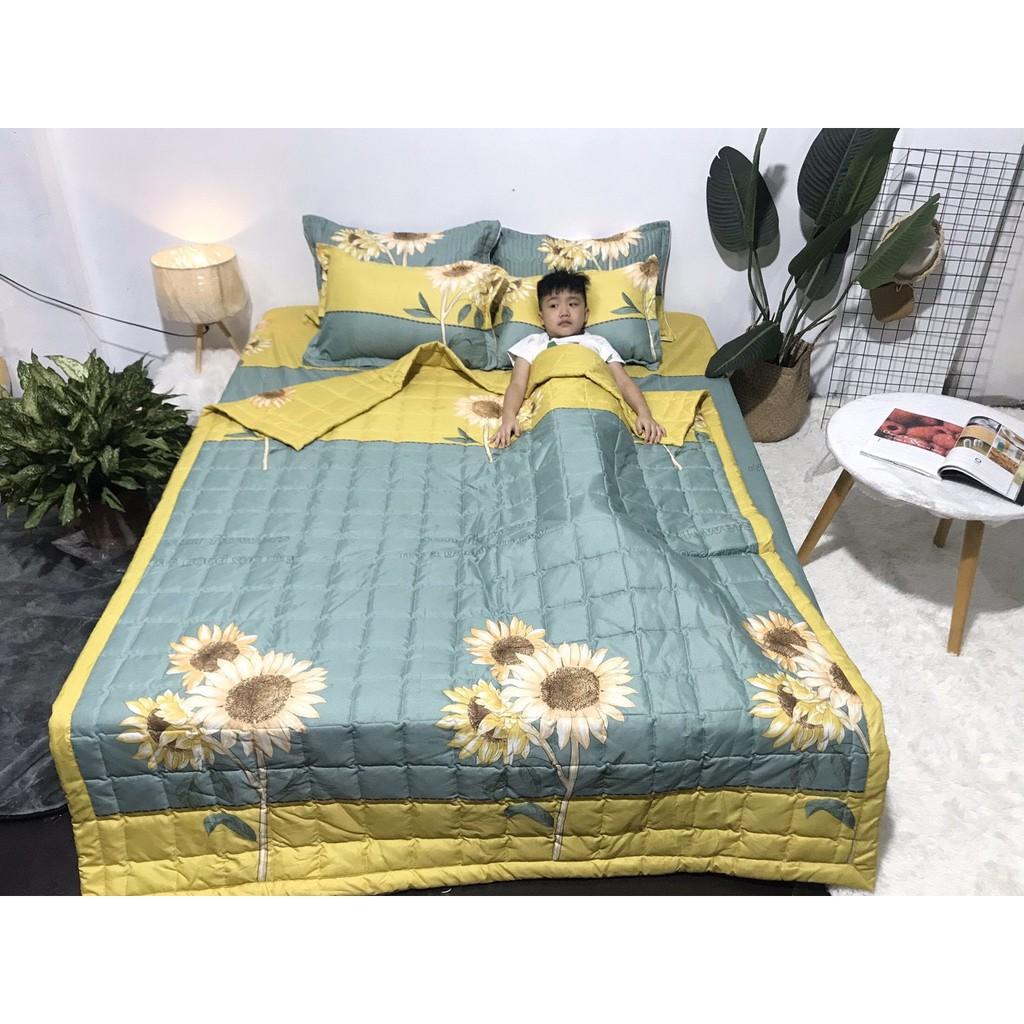 Bộ chăn hè ga gối poly cotton đủ kích thước-mẫu hoa hướng dương