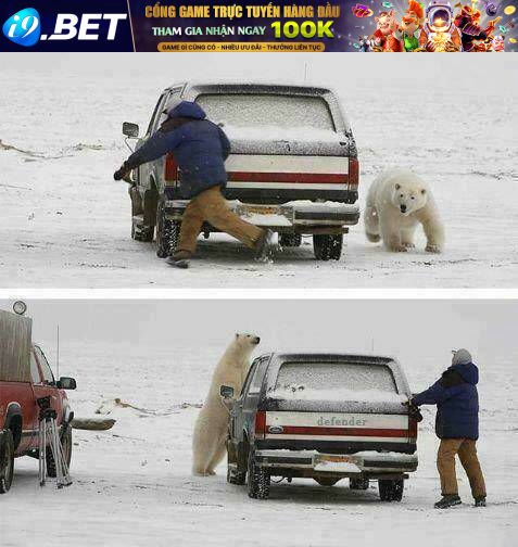 rage comic-troll chapter 66 13