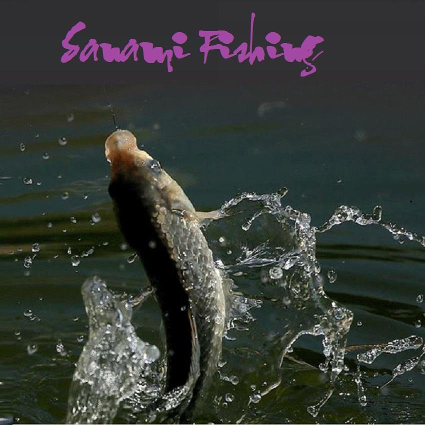 Mồi Câu Cá HUA Rượu Siêu Nhạy Chuyên Câu Cá Hoang Dã Sanami Fishing HUA-22