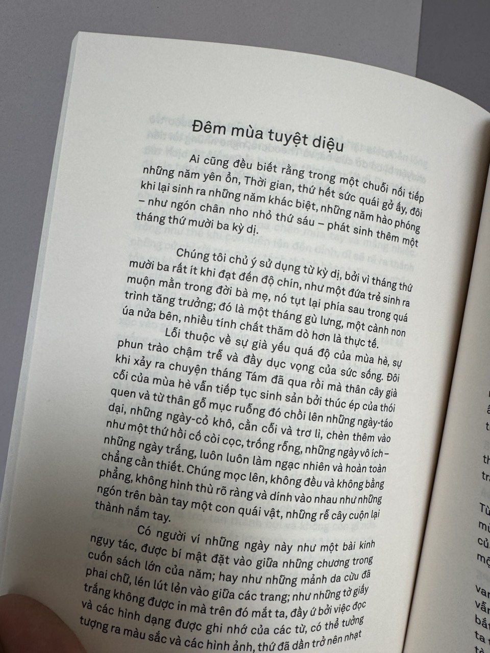 NHỮNG HIỆU QUẾ - Bruno Schulz - Xuân Trường dịch – Xuất Bản Khác