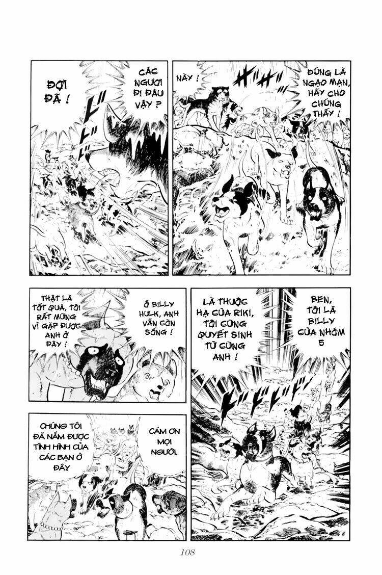 chú chó có nghĩa - ginga nagareboshi gin chapter 33.1 3