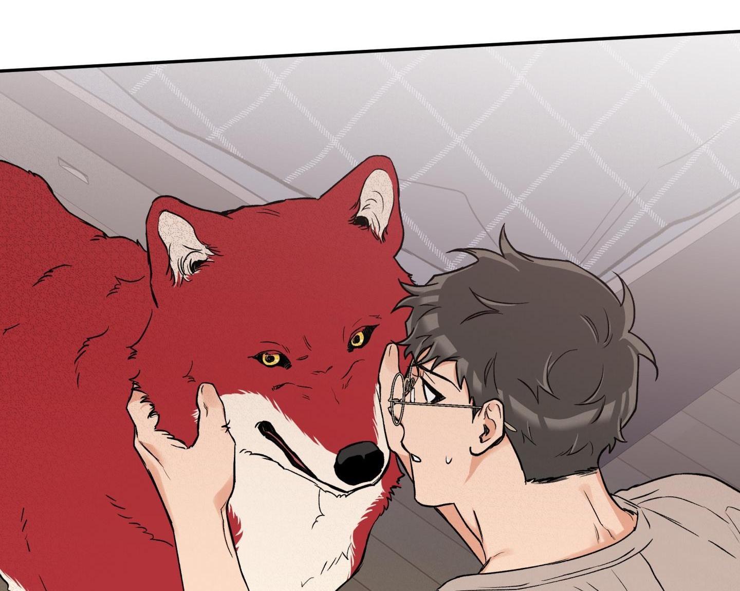 gâu gâu! chapter 43 92