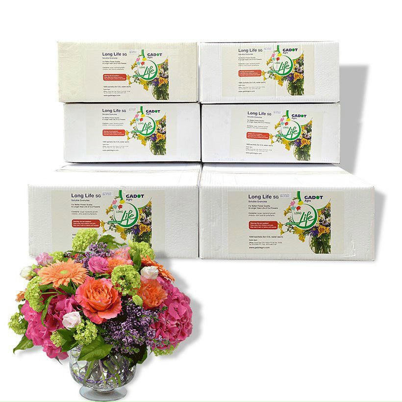 Dưỡng Hoa Tươi Lâu Nhập Khẩu ISRAEL Long Life - Hoa Lâu Tàn, Không Thối Nước