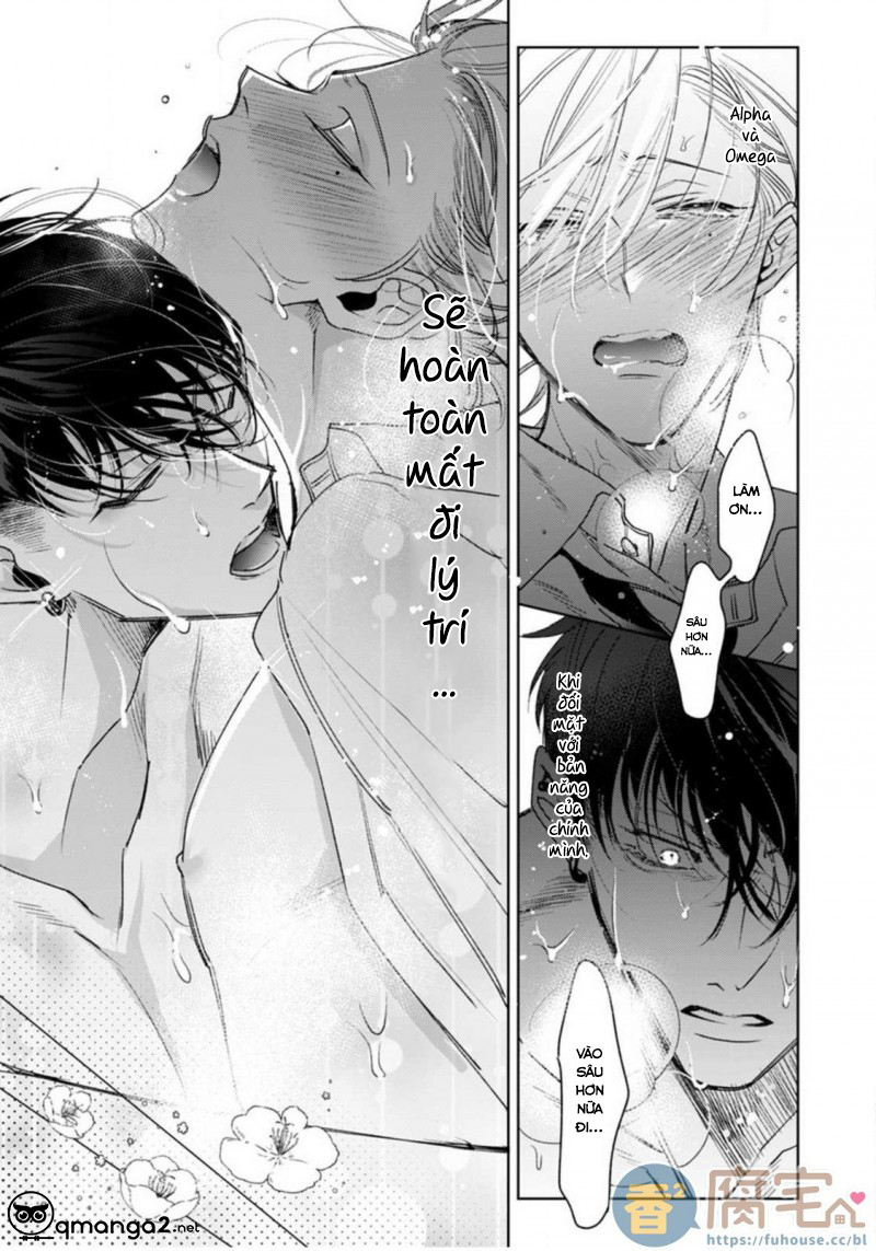 ochikobore alpha to elite omega chapter 1.2 13