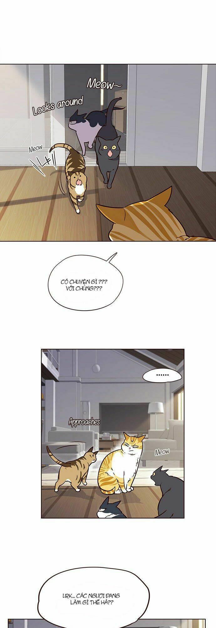 biến thân thành mèo chapter 6 32