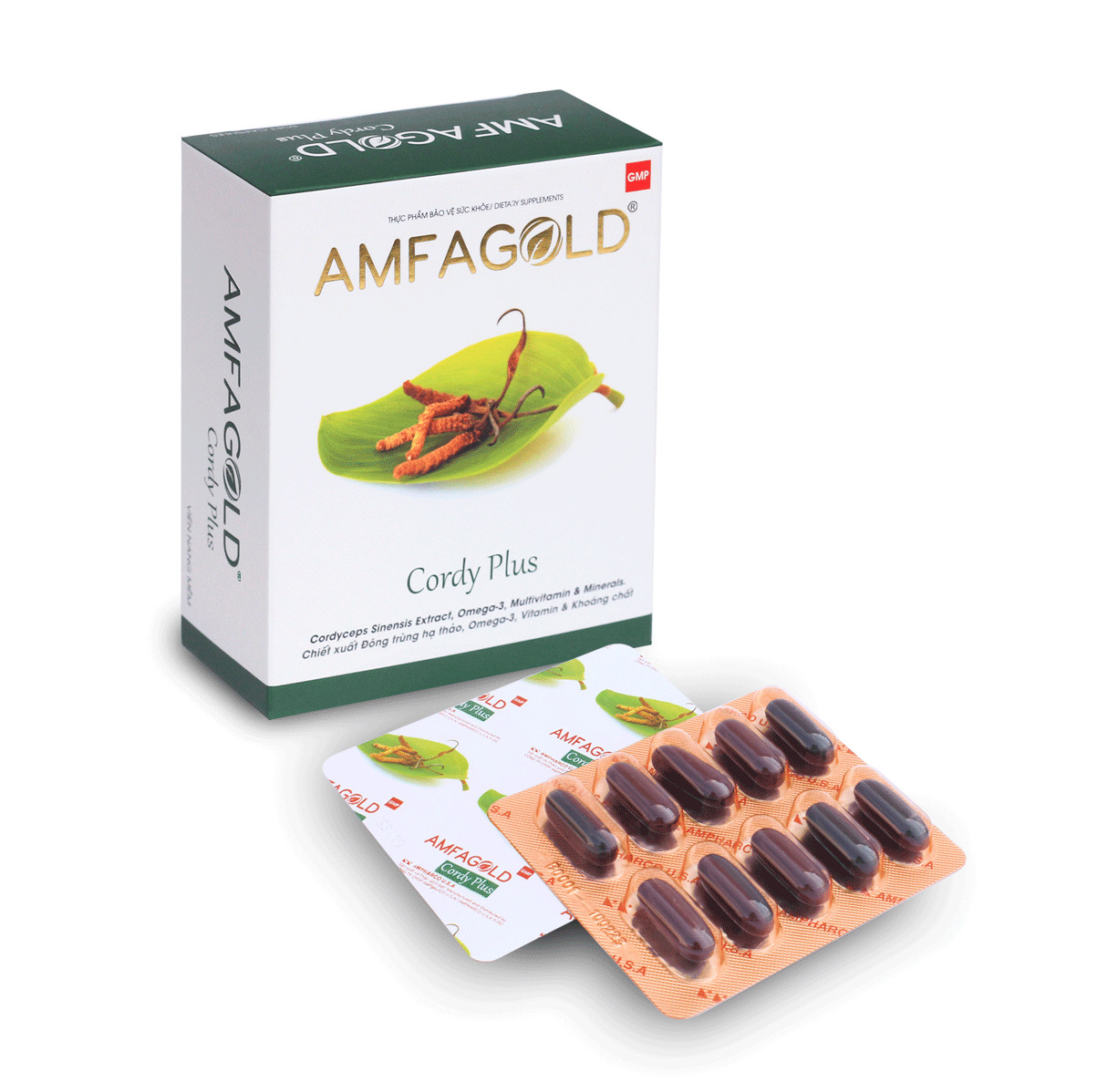 Viên uống hỗ trợ tăng sức đề kháng Đông Trùng Hạ Thảo Cordyceps Sinensis AMFAGOLD CORDY PLUS