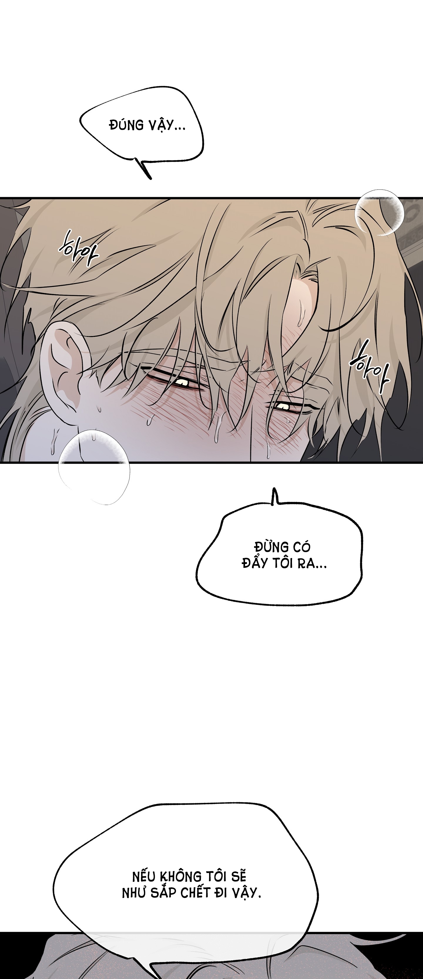 đêm bên bờ biển chapter 53.5 11