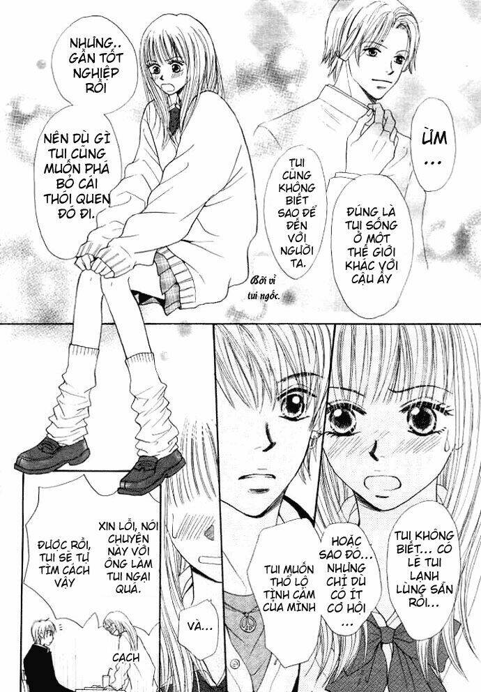 chocolate cake shooting star chapter 1 3