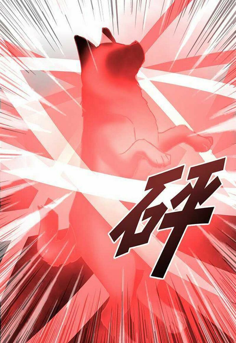 nụ hôn nguyền rủa chapter 95 5