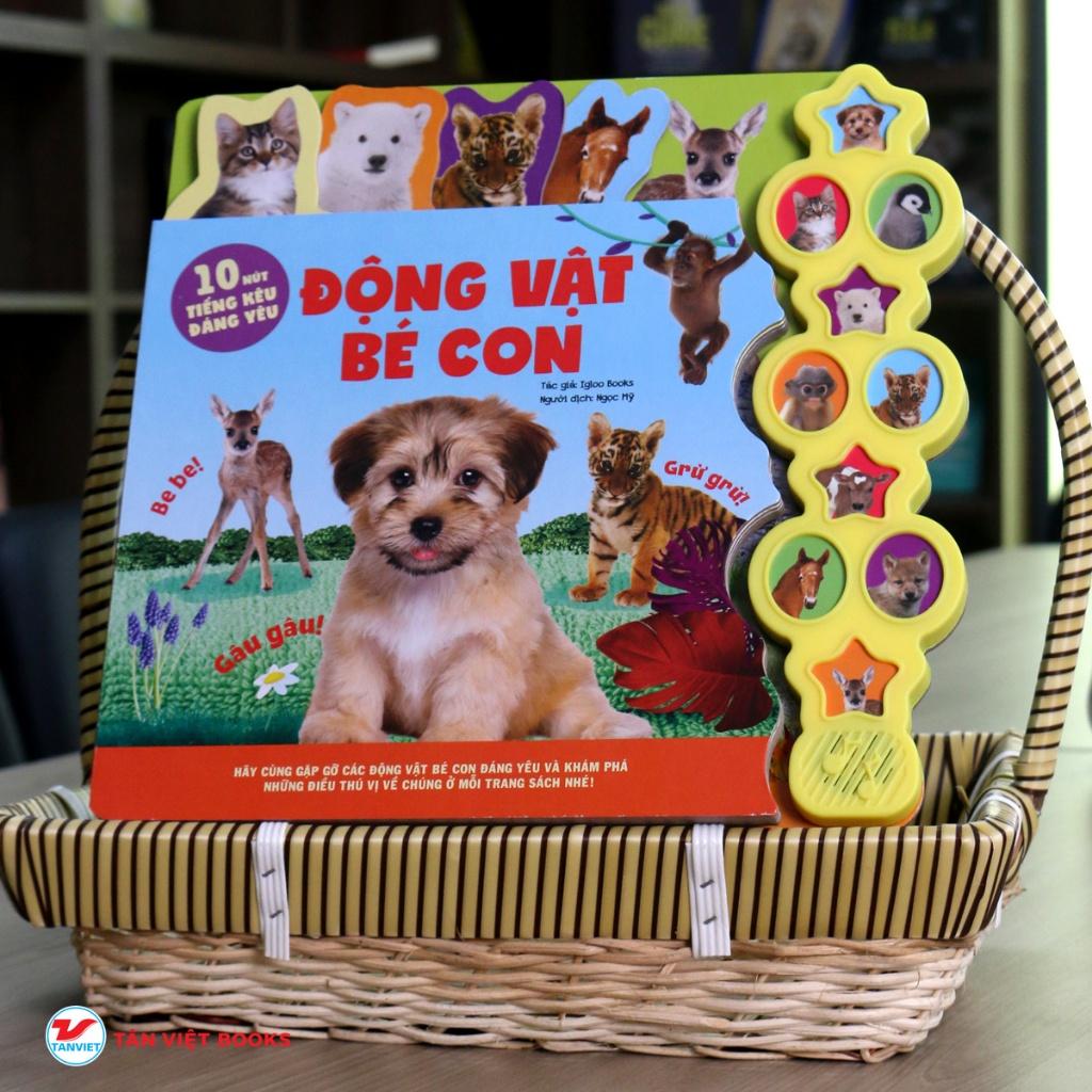 Động vật bé con  - Bản Quyền