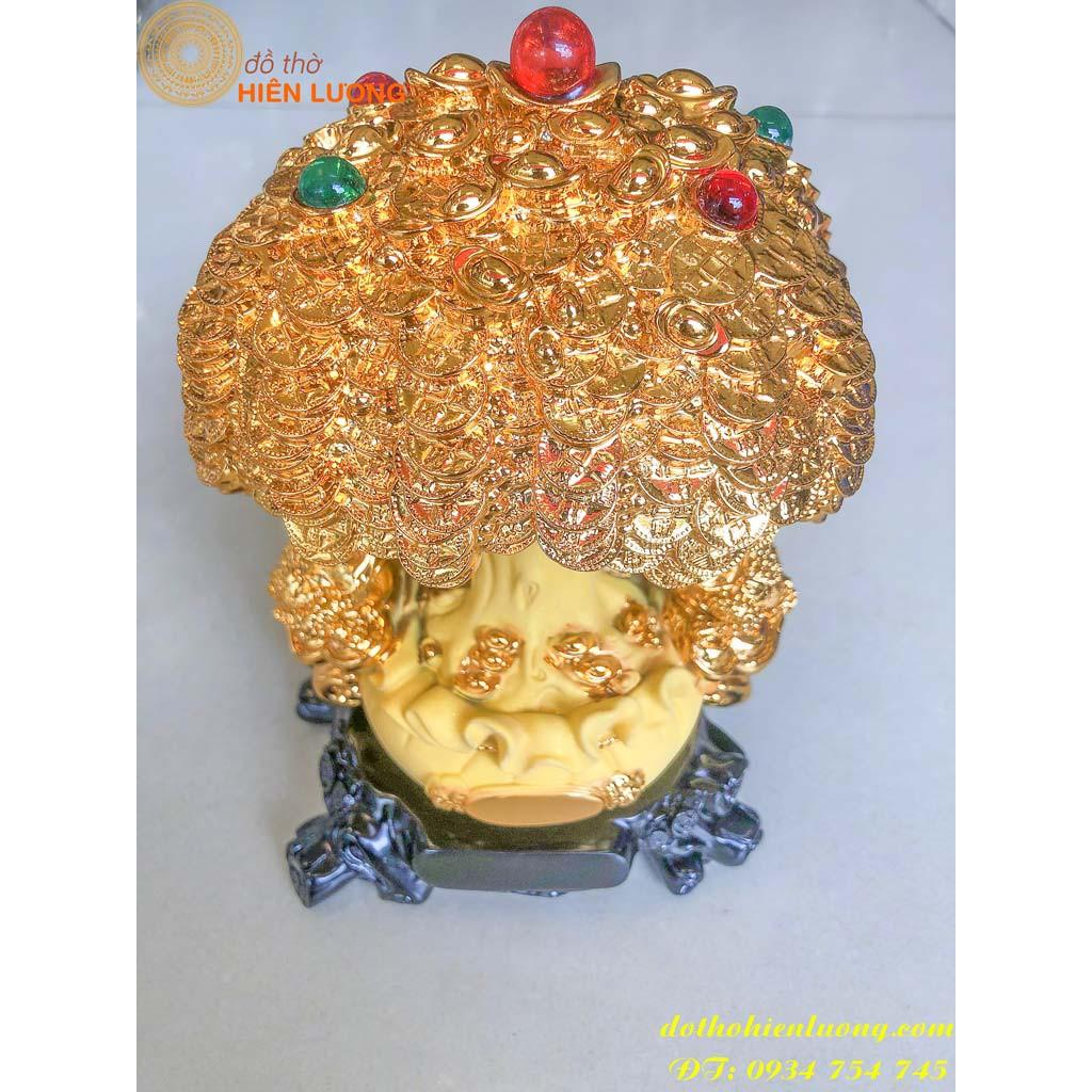 Cây Kim Tiền Bằng Đá