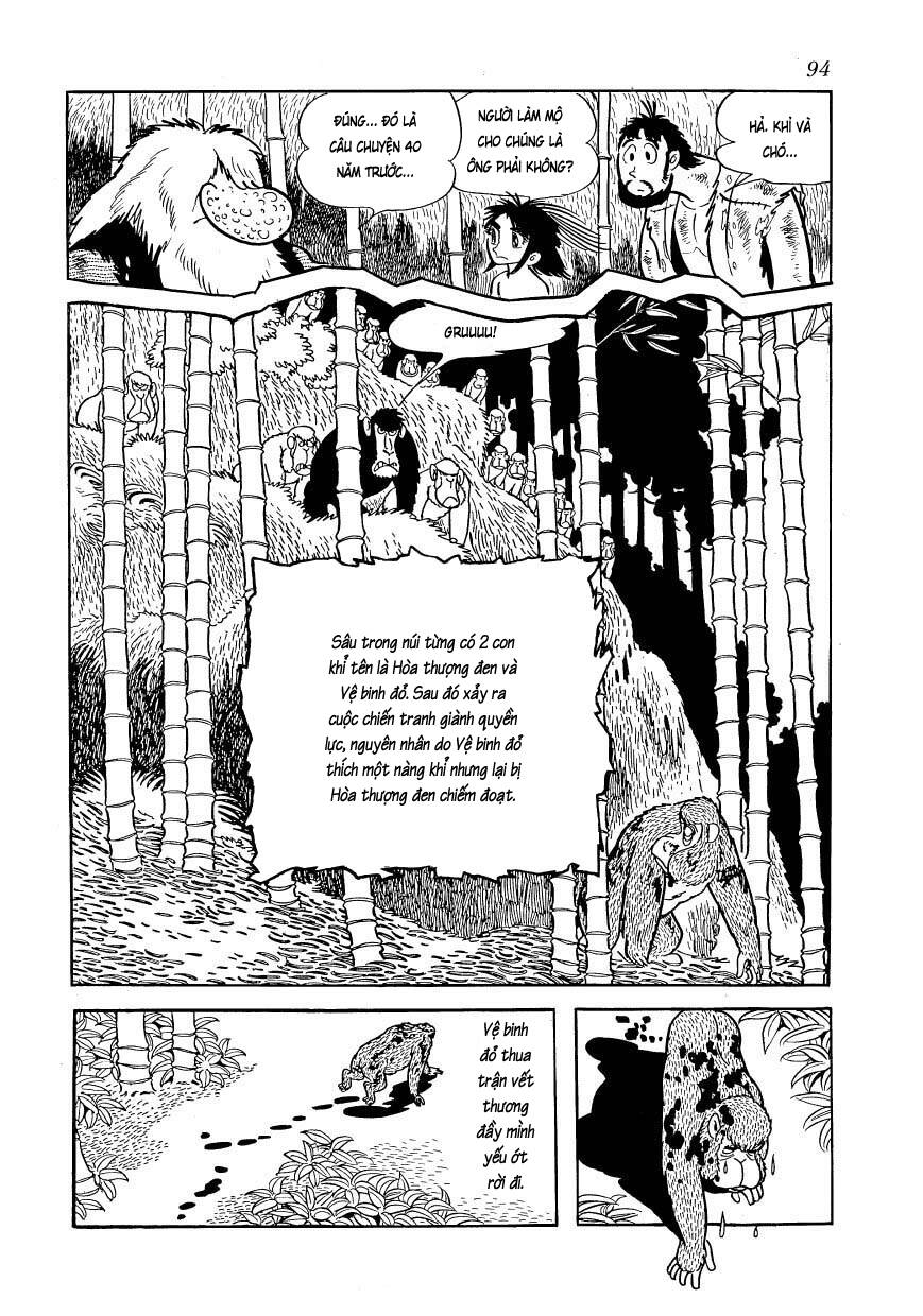 chim lửa chapter 80 12