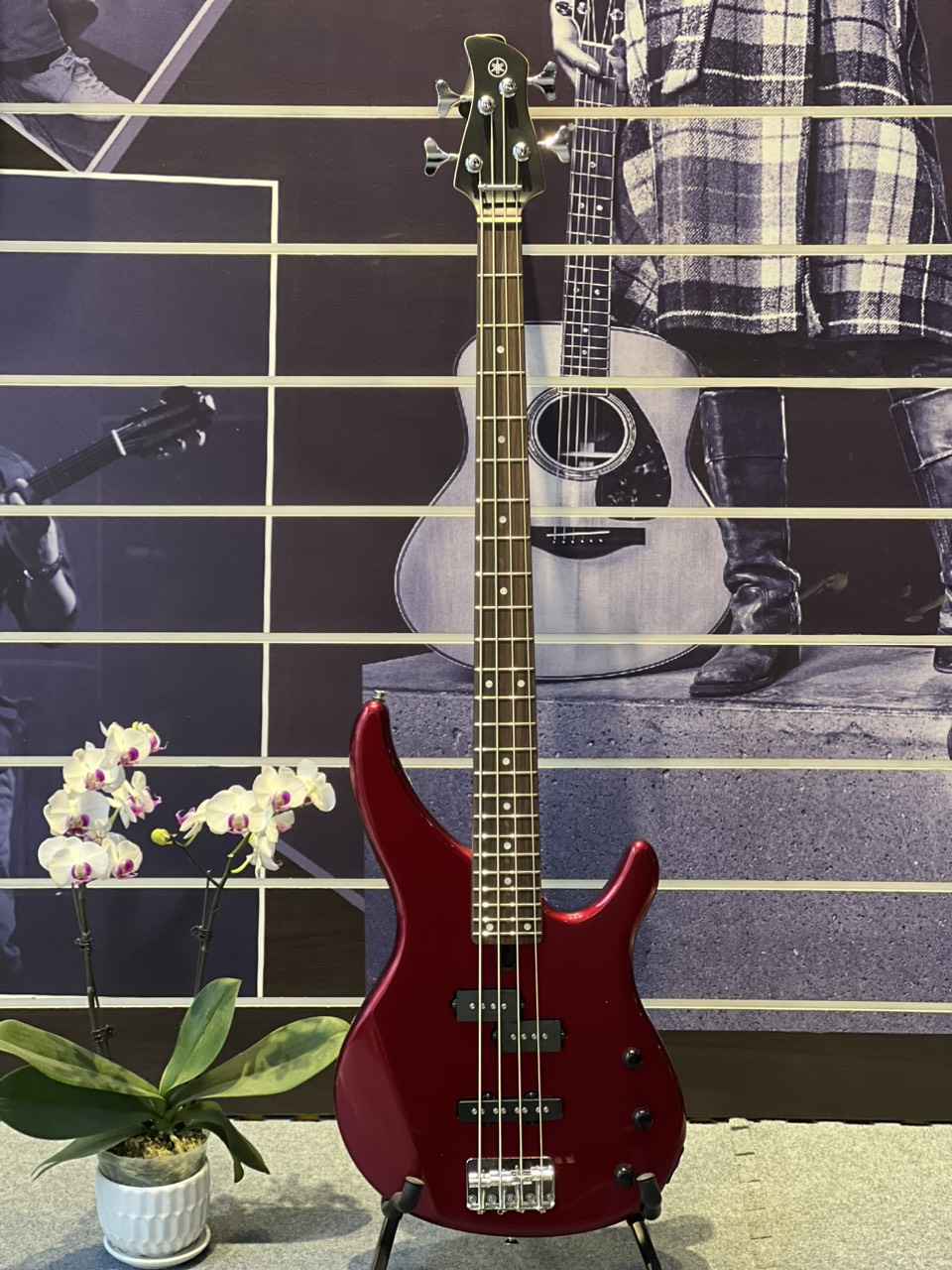Đàn guitar bass điện Yamaha TRBX174-Hàng chính hãng