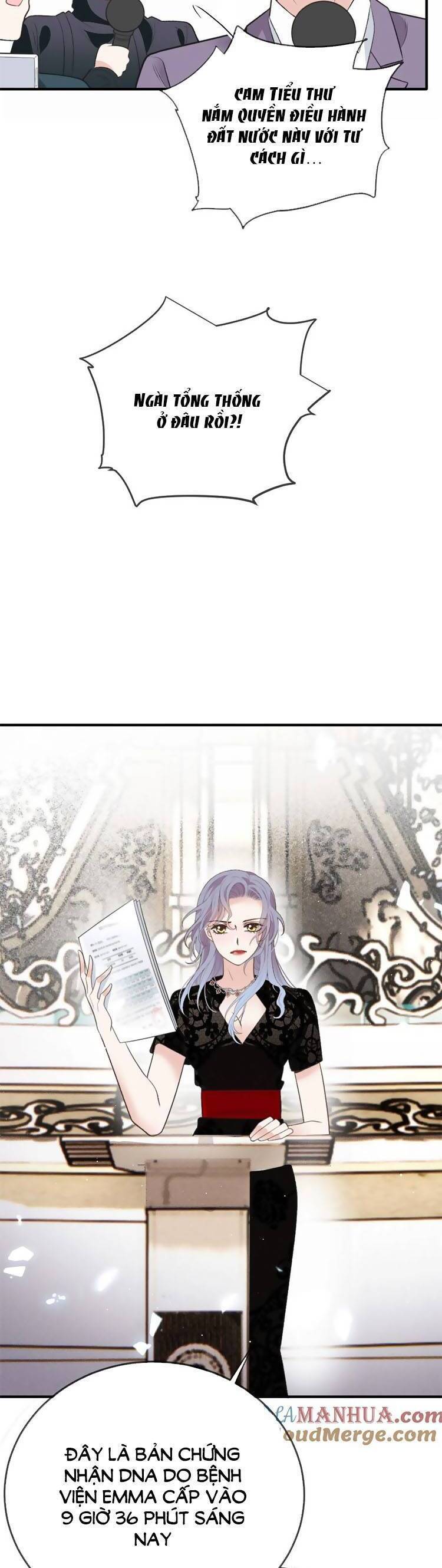 một vợ yêu, một bé con chapter 285 13