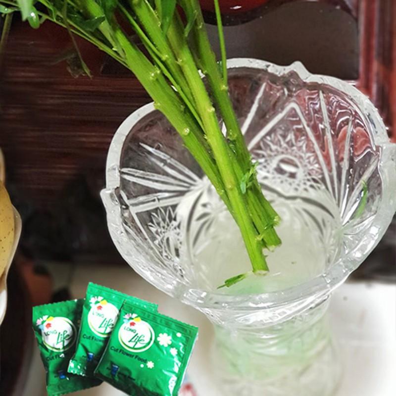 Hộp 10 Gói dưỡng hoa Longlife, xuất xứ Israel, giữ hoa tươi lâu, 14 ngày không thay nước