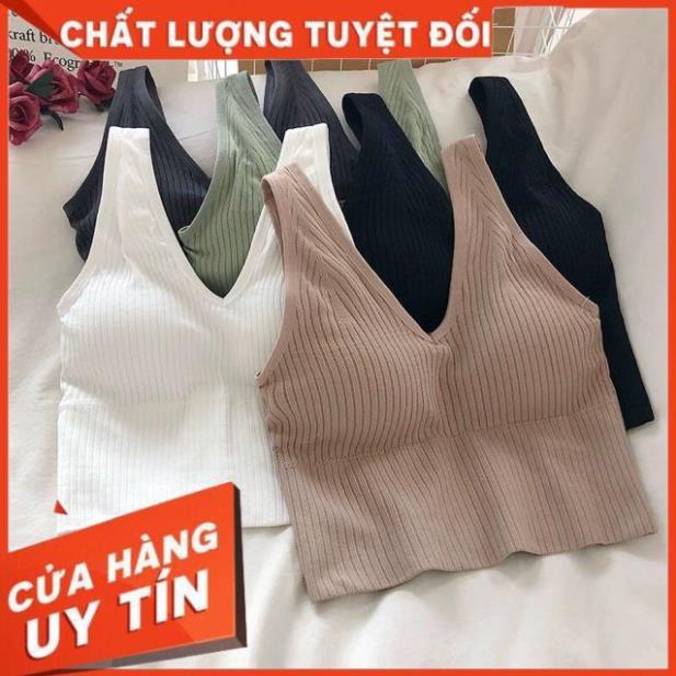 Áo Lót Nữ Bra Tập Gym Thể Thao Len Tăm Hàn Kết Hợp Với Vest Khoác Ngoài Thanh Lịch V90