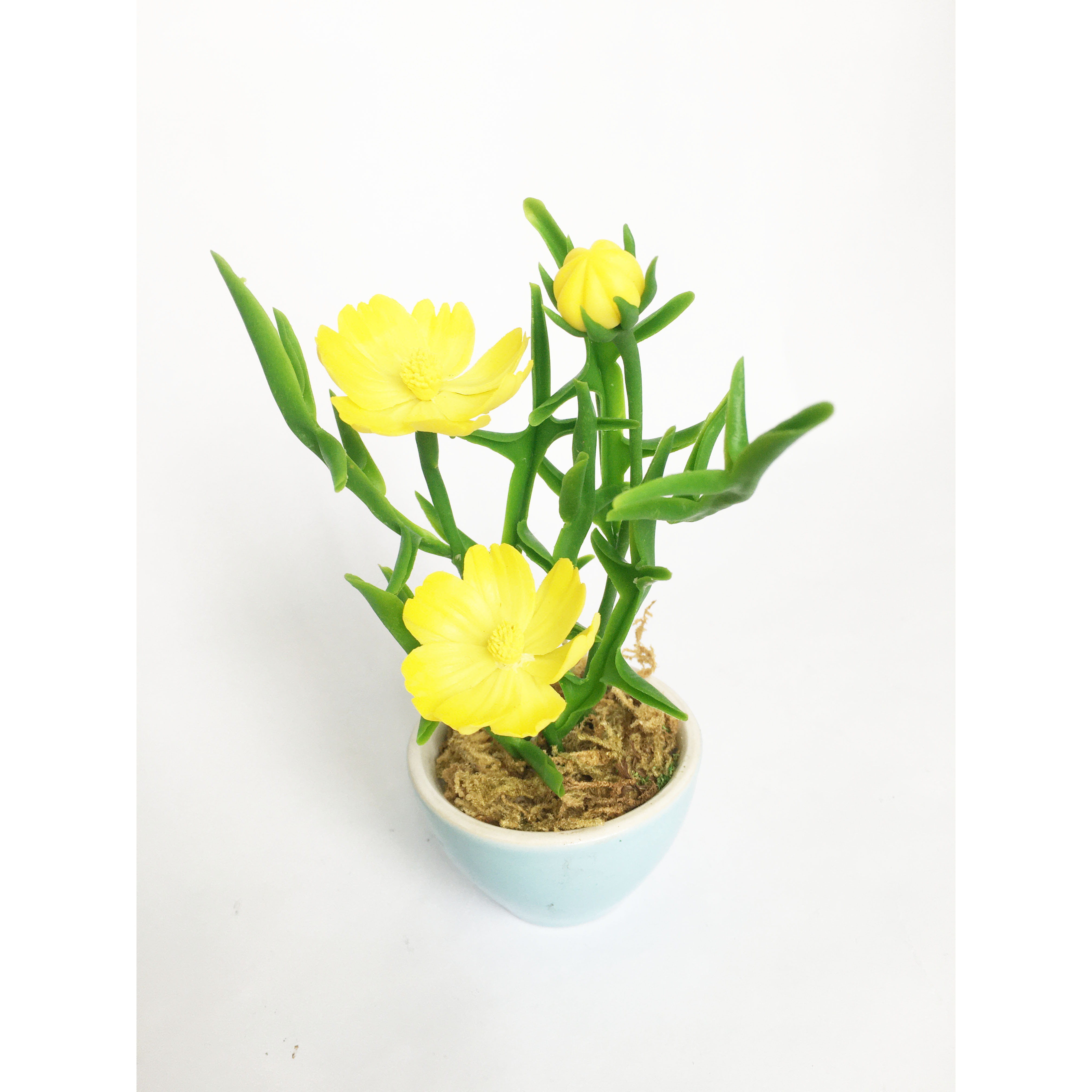 Chậu hoa đất sét mini- Bụi sao nhái trong cốc - Quà tặng trang trí handmade