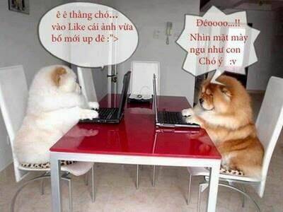 hình ảnh hài hước new chapter 29 5