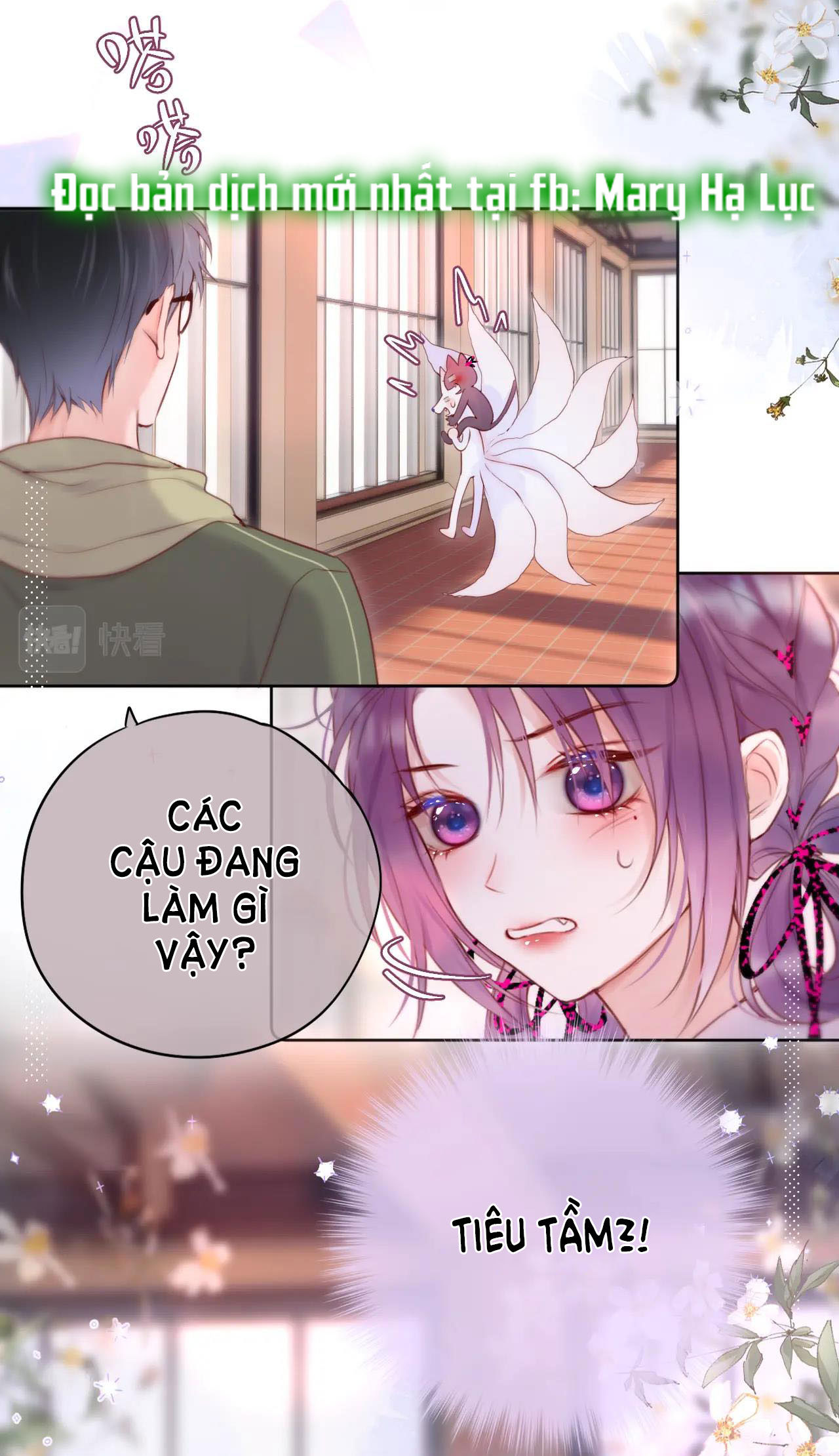 cạm bẫy của hồ ly chapter 18.1 9