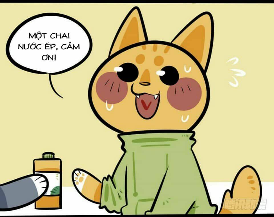 đời không như mình tưởng chapter 16 4