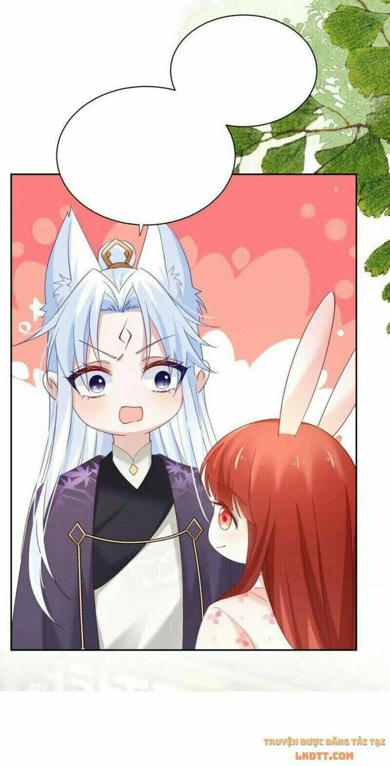 hắc hóa nam chính trực tuyến nuôi thỏ chapter 59 44