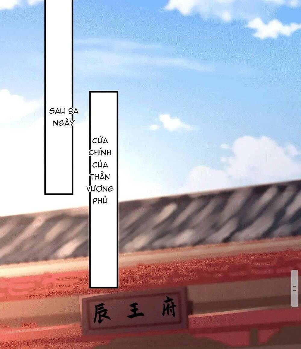 sự trả thù của vương phi chapter 47 37