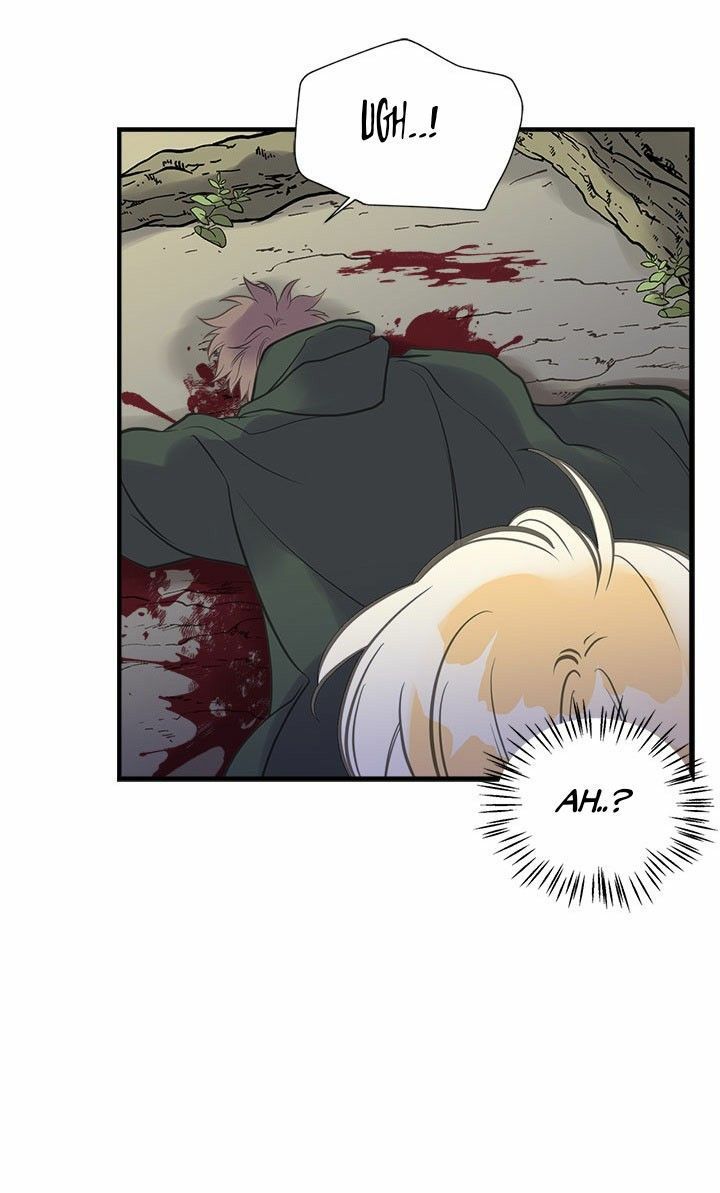 chị tôi đã nhặt về một nam chính quyến rũ chapter 24 11