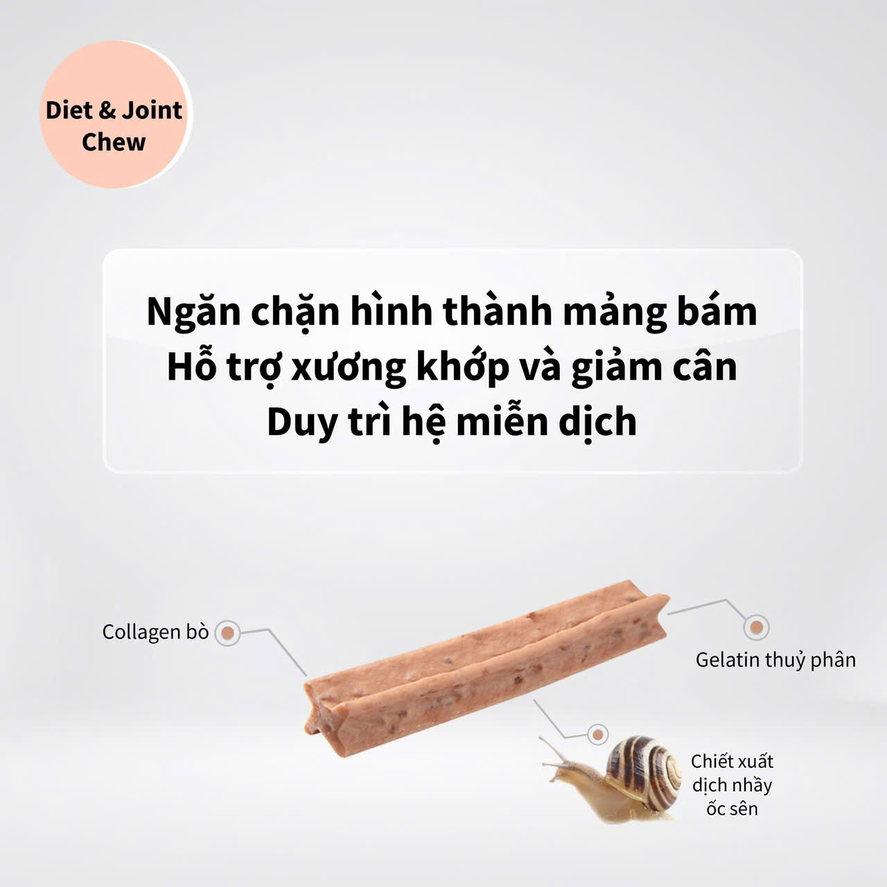 THANH GẶM KHÔNG BÉO KHOẺ XƯƠNG,TĂNG MIỄN DỊCH,LOẠI BỎ CAO RĂNG LAMER DIET &amp; JOIN CHEW TỪ NHÂN SÂM 150g