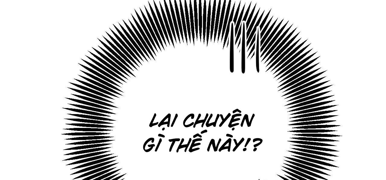 những chú thỏ của hapypy chapter 52 287