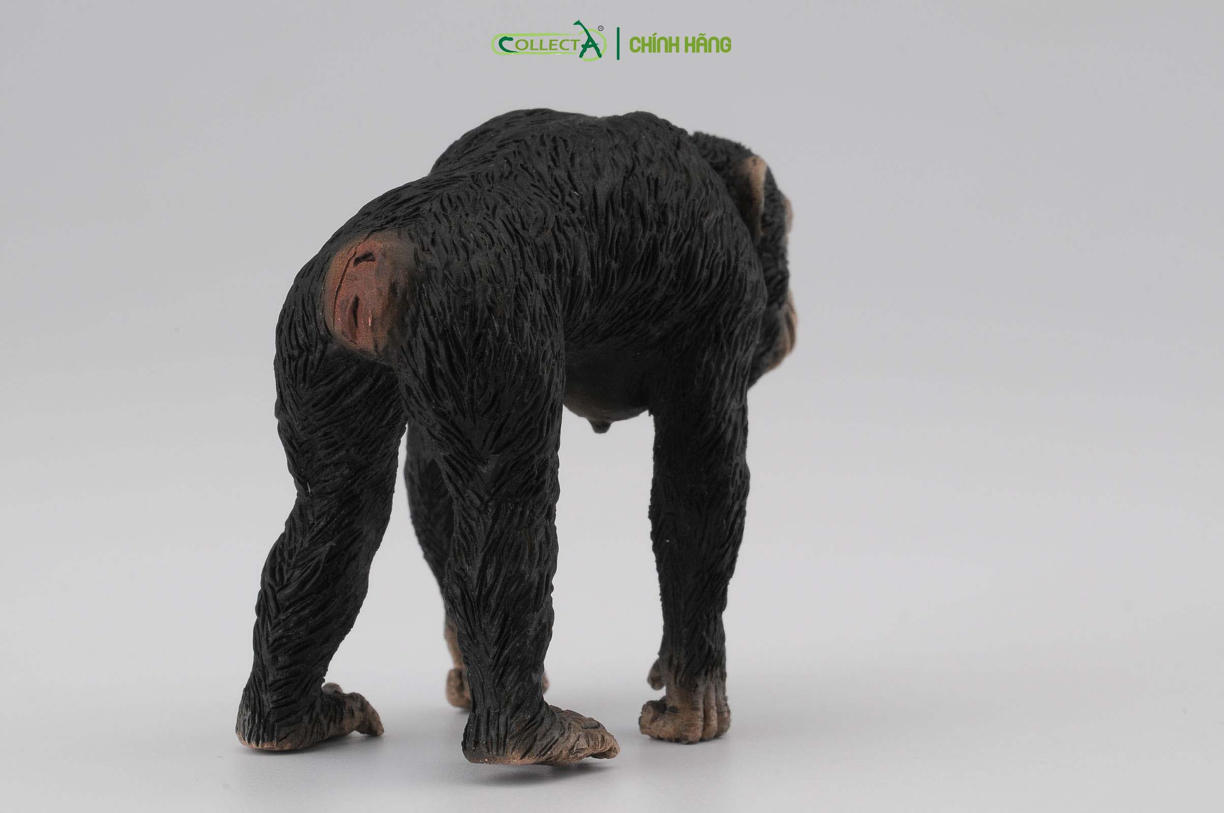 Mô hình thu nhỏ: Tinh Tinh mẹ - Chimpanzee Female, hiệu: CollectA, mã HS 9651030[88493] -  Chất liệu an toàn cho trẻ - Hàng chính hãng