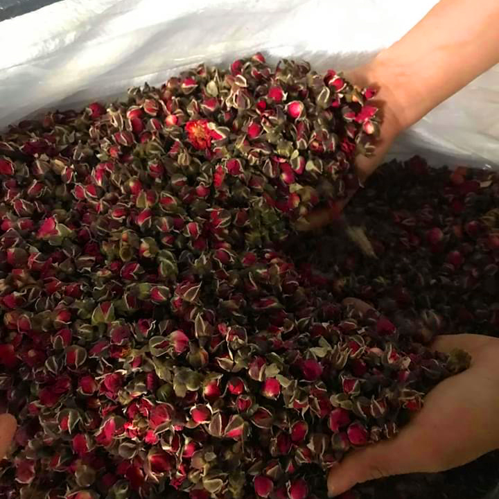 NỤ HỒNG 100g sấy khô loại đặc biệt
