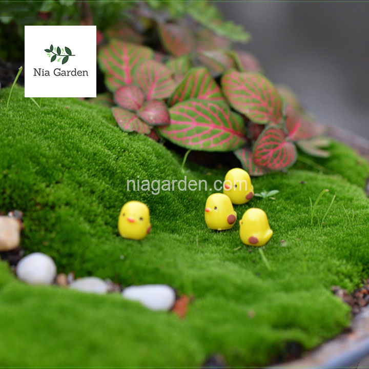 (10 con) Phụ kiện gà con mini trang trí cây cảnh tiểu cảnh Nia Garden N5