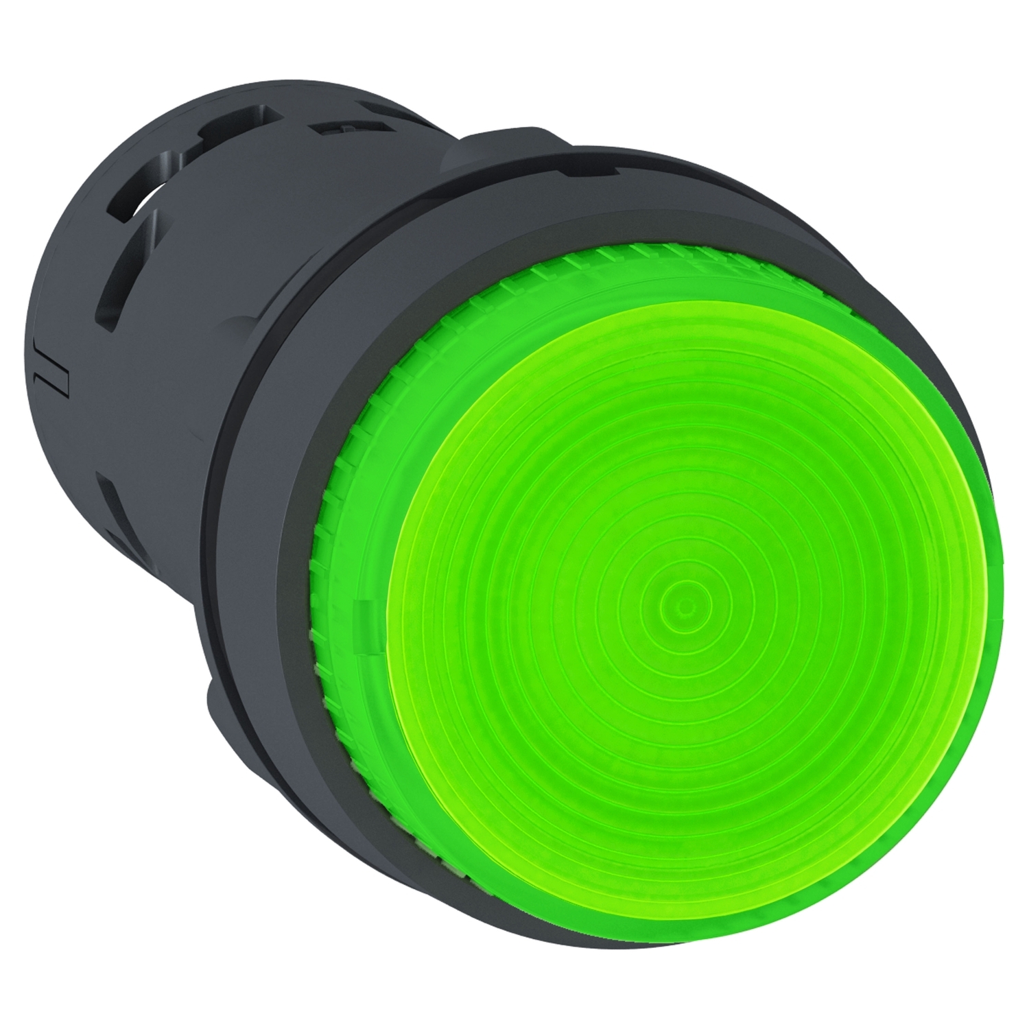 Nút nhấn có đèn XB7NW33M1 Schneider , 22mm, Đèn xanh 220V