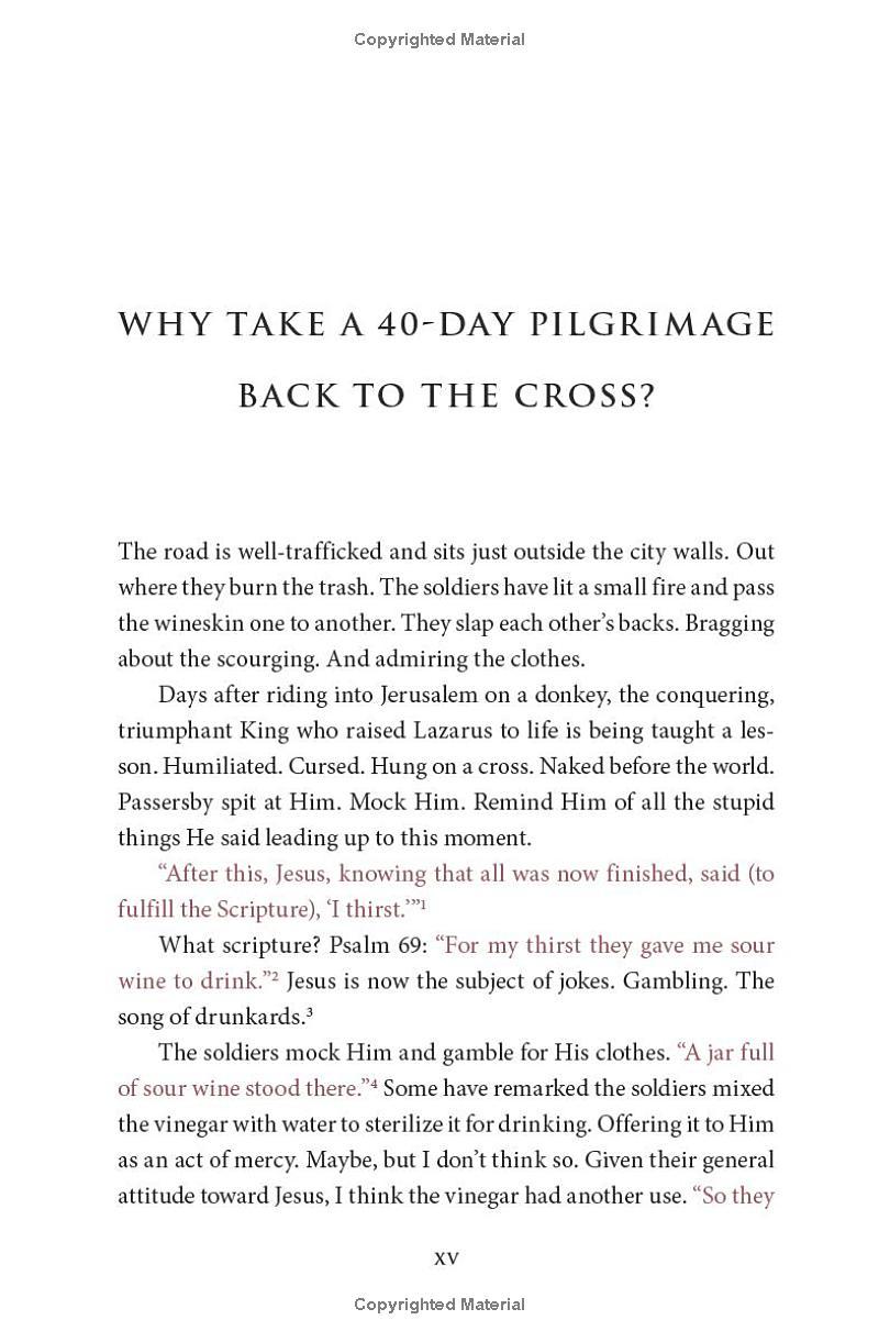 Sách ngoại văn: It Is Finished: A 40-Day Pilgrimage Back To The Cross