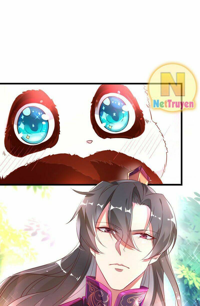 thiên thần gấu trúc muốn được ôm chapter 5 4