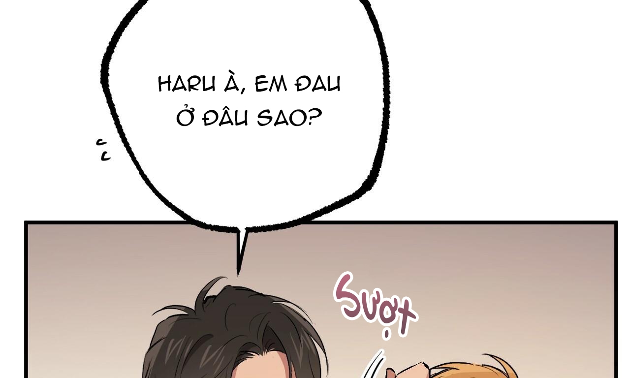 đàn thỏ của habibi chapter 42 196