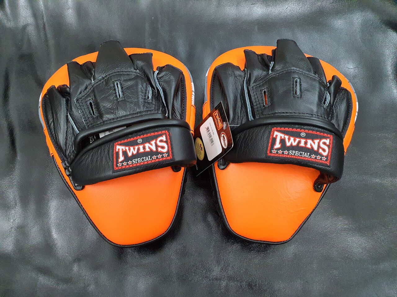 ĐÍCH ĐẤM VÕ THUẬT TWINS PML10 FOCUS MITTS