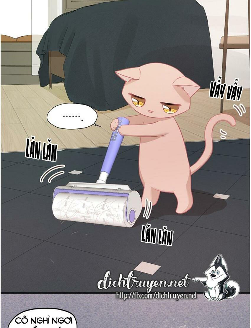 cuộc sống kỳ thú chapter 17 2