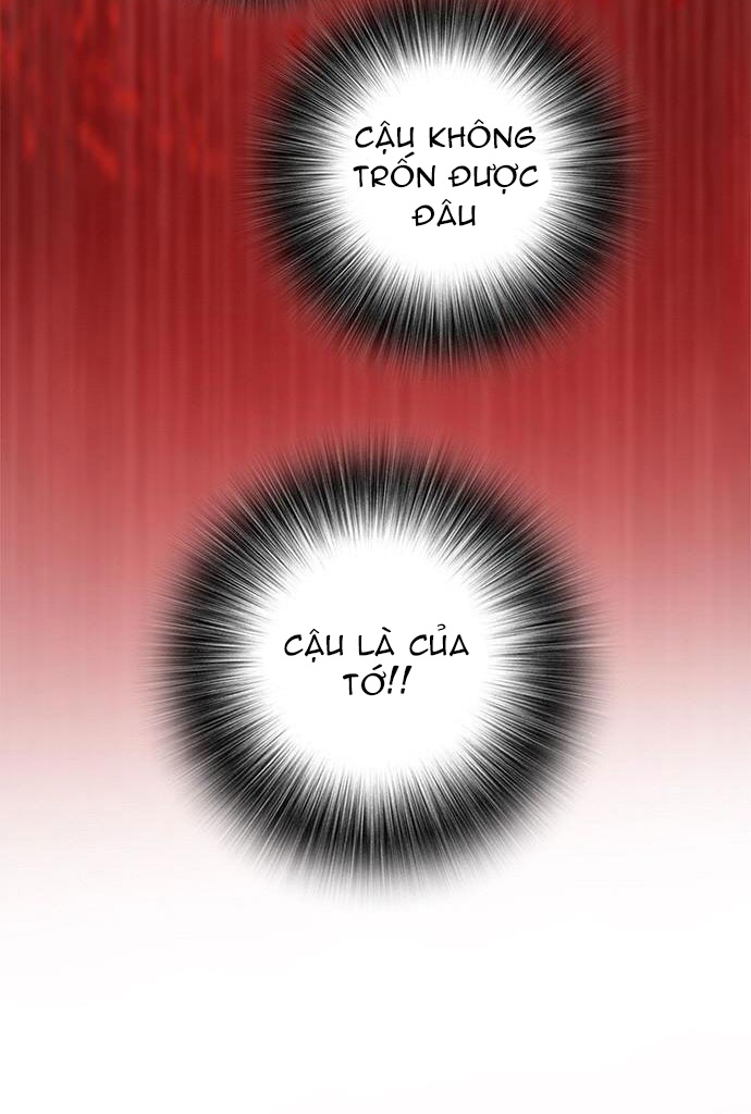 tôi chính là nhà sưu tập chim chapter 17 5