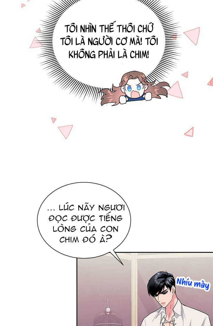 công chúa của loài chim chapter 23 39