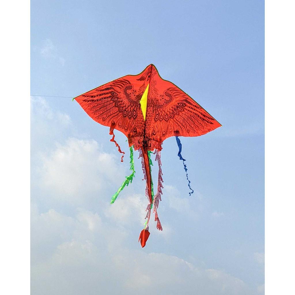 Diều Phụng Hoàng Lửa 5 Đuôi To Đại