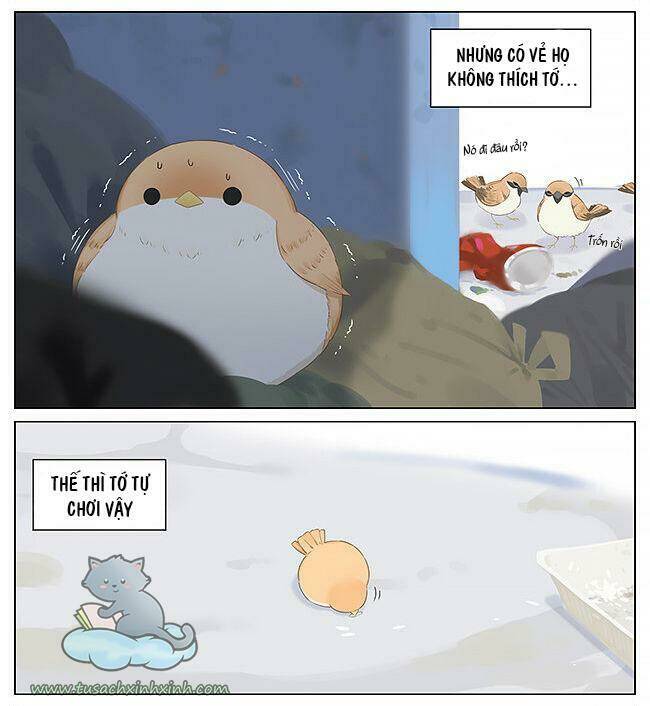chim sẻ gọi ngỗng trời chapter 10 6