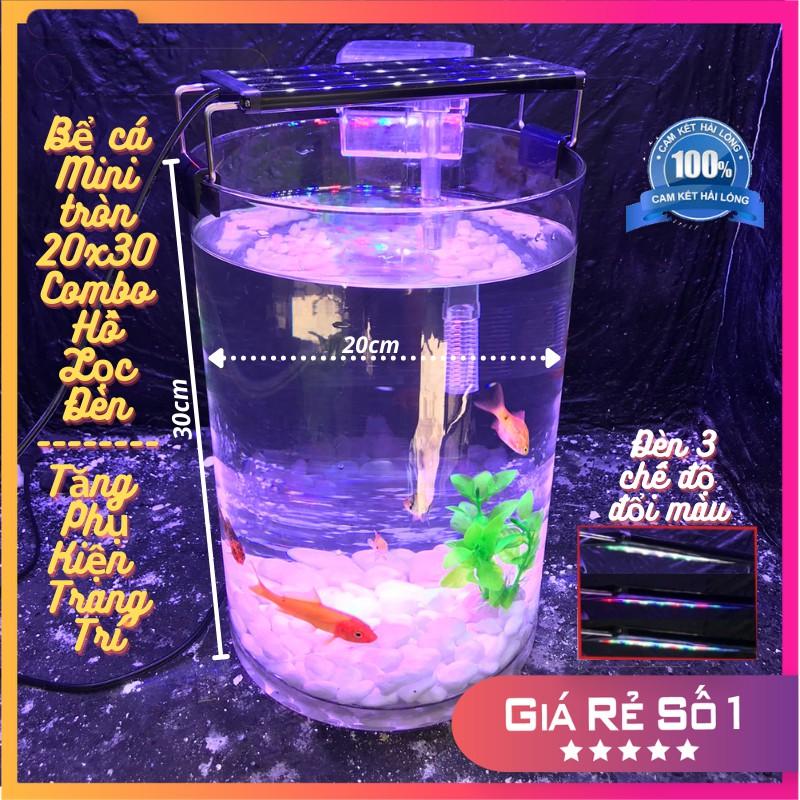 Bể cá mini để bàn tròn D20H30 COMBO Hồ Lọc Đèn kèm phụ kiện tiểu cảnh