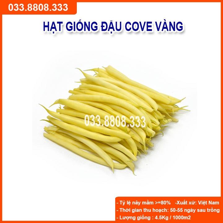 Hạt Giống Đậu Cove Vàng  -Tỷ Lệ Nảy Mầm Cao