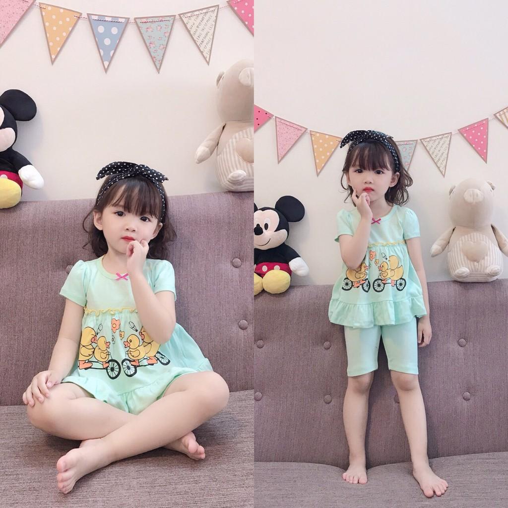 BÈO BOZIP SIÊU CƯNG