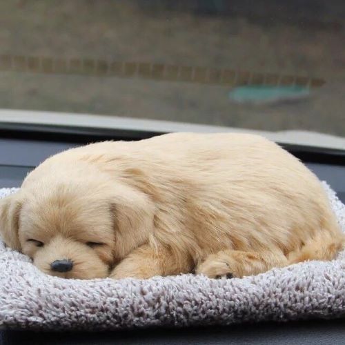 CHÚ CHÓ VÀNG THAN HOẠT TÍNH KHỬ MÙI & TRANG TRÍ TAPLO Ô TÔ LOẠI LỚN 28CM X 21CM