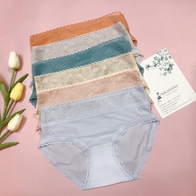 Combo 05 quần lót cotton cạp cao viền ren cao cấp