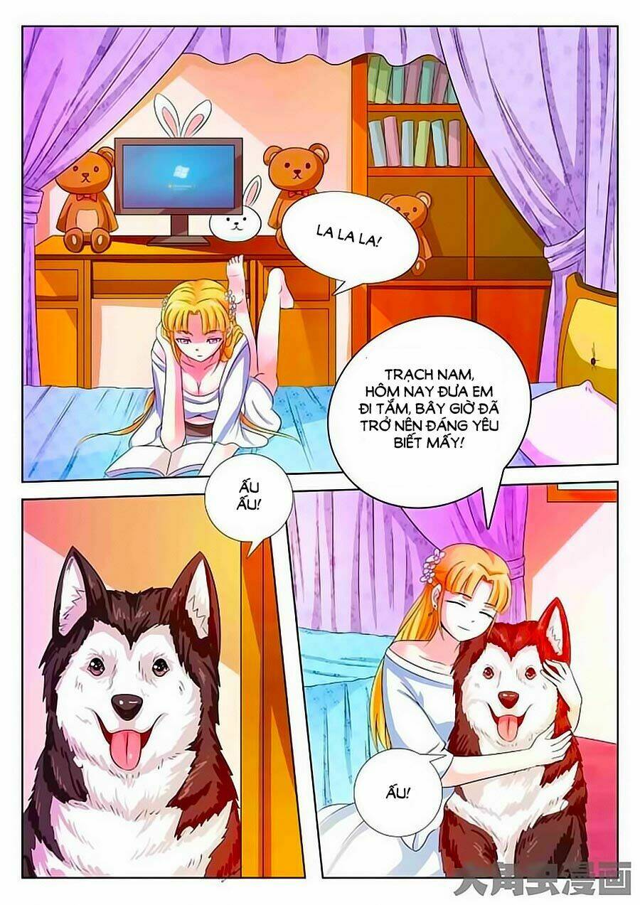 mau lấy con mèo đó ra chapter 1 15