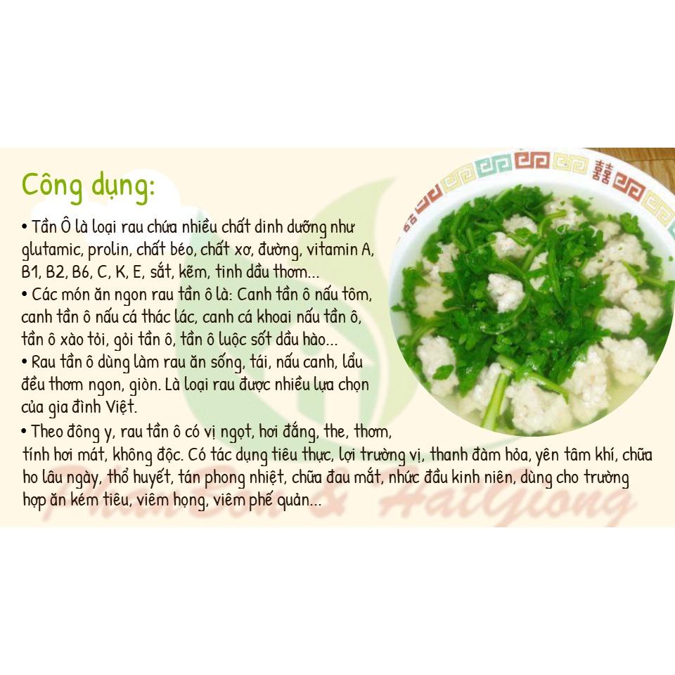 Hạt Giống Rau Tần Ô, Cải Cúc - Phú Nông Seeds - Shop Phân Bón và Hạt Giống